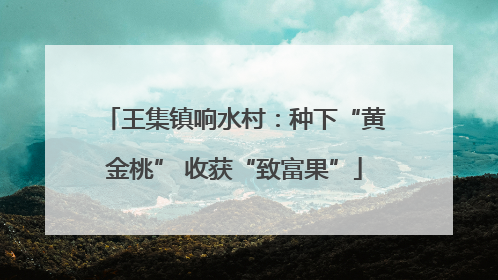 王集镇响水村：种下“黄金桃” 收获“致富果”